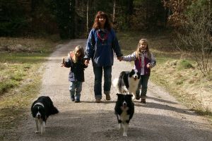 Hundegalerie: Gönnen Sie sich einen Einblick in unser Hundehotel | Ansbach, Forchheim