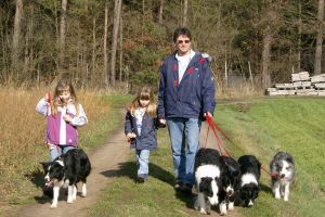 Hundegalerie: Gönnen Sie sich einen Einblick in unser Hundehotel | Ansbach, Forchheim